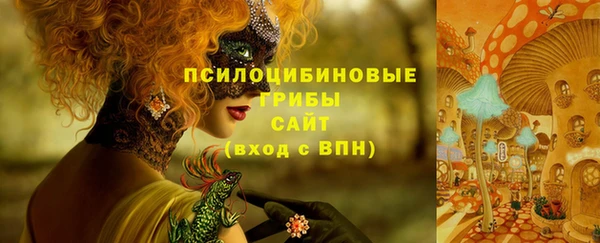 молекула духа Абинск