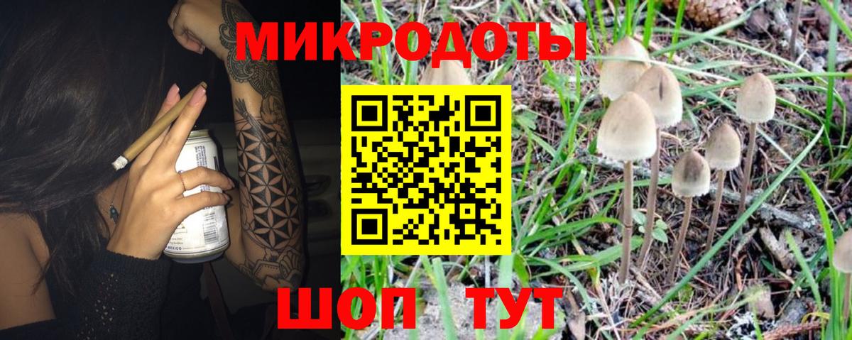 Ростов-на-Дону  Псилоцибиновые грибы Psilocybe  Вход с VPN 