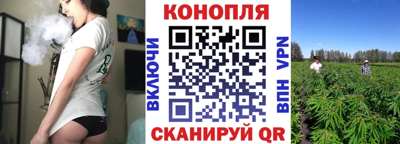 Бошки Шишки семена  купить закладку  Ростов-на-Дону 